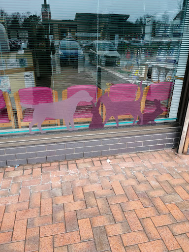 Woodcroft Vets, Wilmslow - Thumbnail