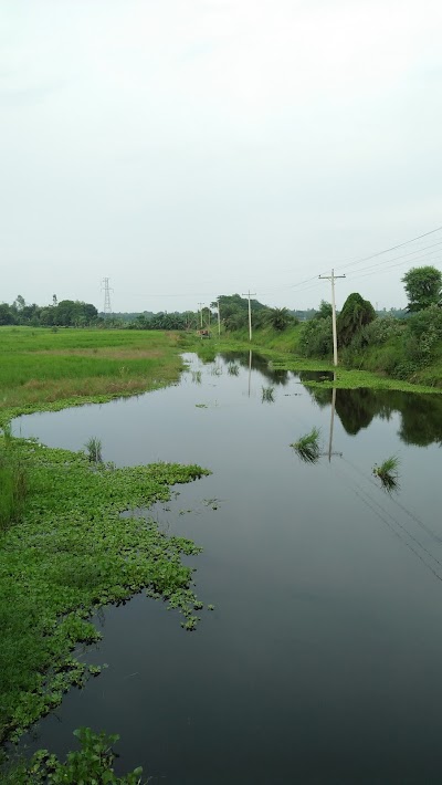 Photos of Aftab Nagor Bazar Road Bus Stop