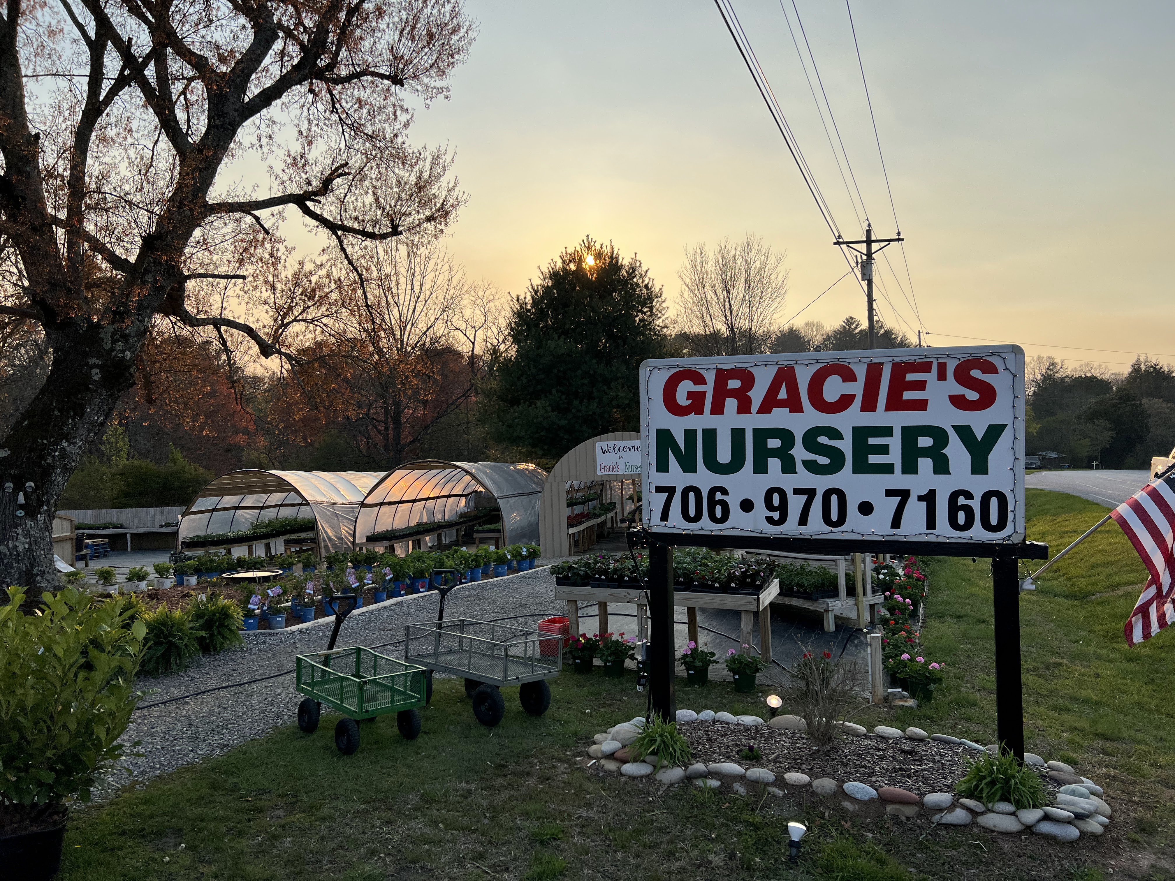 Gracie's Nursery