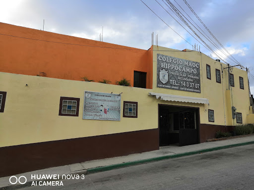 Colegio Maoc Hippocampo
