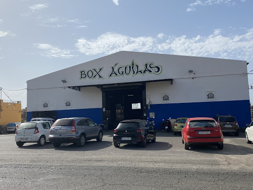 Royal Box - Visual