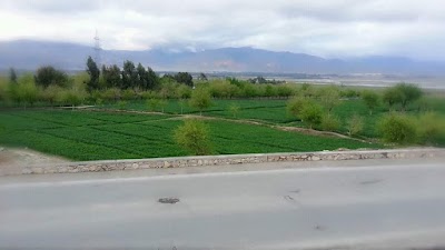 Photos of Baaqe Saraaj