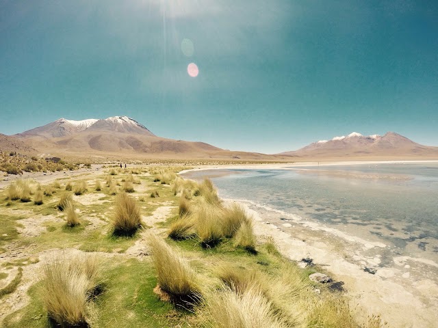 Andes Salt Expeditions Tour Operator