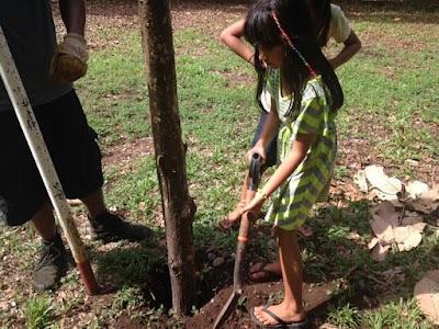 Photos of Guanacaste Waldorf School