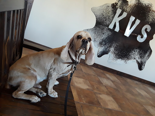 Kingsville Veterinary Services - Thumbnail