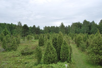 Photos of &Scaron;auklių riedulynas
