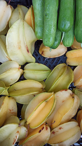 Frutas Barbero | Frutería el Abuelo | Almuñécar - Thumbnail