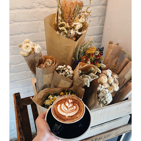 White Mulberries by null