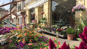 Photo n°17 de Alpha Fleurs à Sarrebourg (Fleuriste)