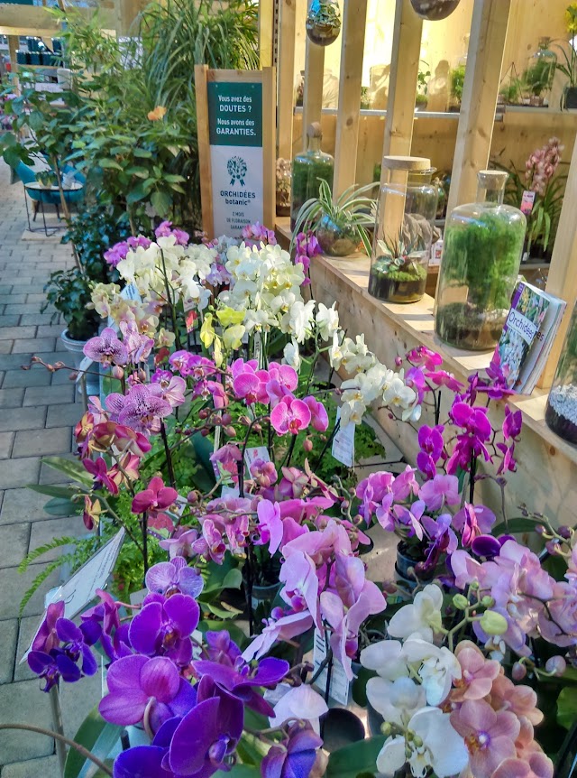 Botanic