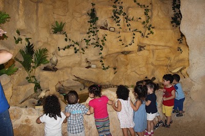 Photos of Lebanese Marine and Wildlife Museum