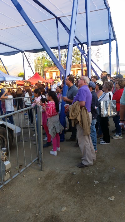 Photos of Estadio Julio Riesco