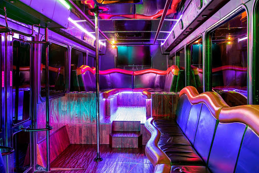 Partybusing - Visual