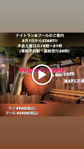 ドッグカフェ メイプル Dogcafe Maple 犬専用公園