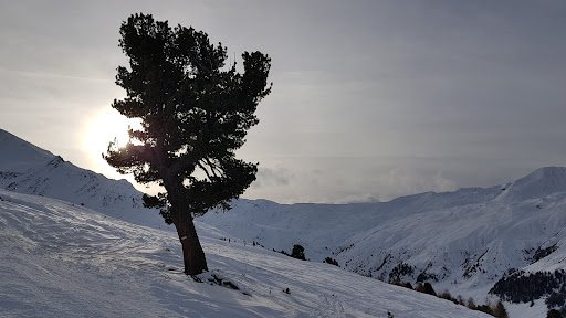 Skigebiet Schöneben - Thumbnail
