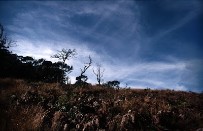 Photos of Chimney Pool
