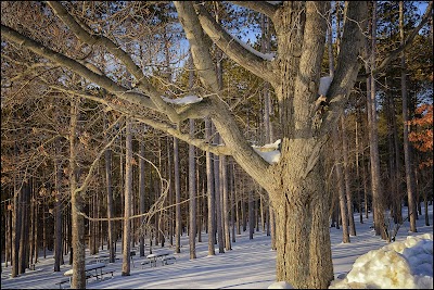 Greenwood Park