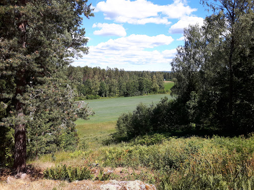 Lejonbacken - Visual