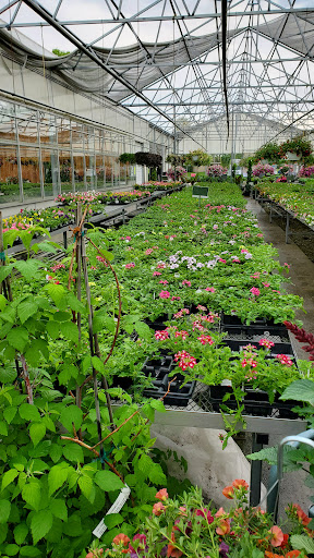 Brenckle's Farms & Greenhouses