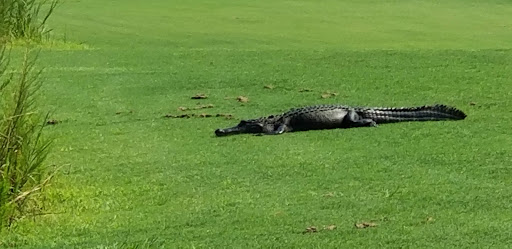 Meadow Links Golf Course at George T. Bagby - Thumbnail