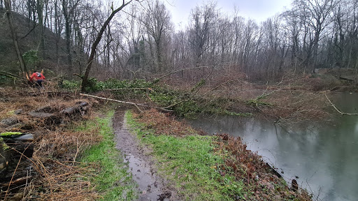 Dentgenbach - Thumbnail