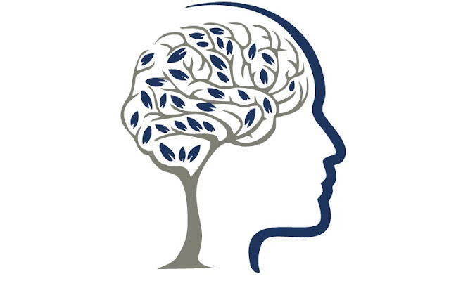 Opinii despre Δράκος Μιχαήλ Ψυχίατρος în Ρόδος - ψυχολόγος