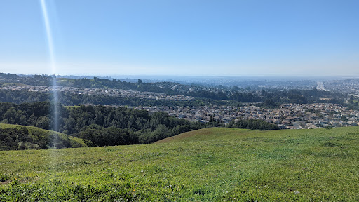 Five Canyons Open Space