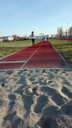Hozzászólások és értékelések az Szekszárdi Sportközpont NKft.-ról