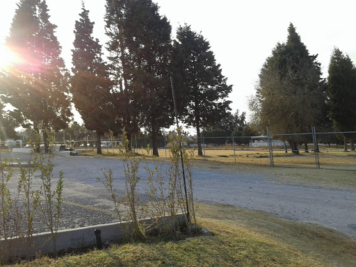 SEAO Tlaxcala - Thumbnail