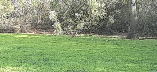 Spring Canyon Neighborhood Park - Thumbnail