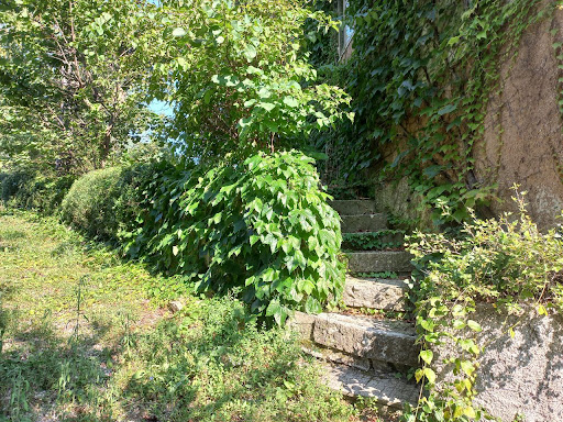 Scuola d'arte Artess Atelier - Thumbnail