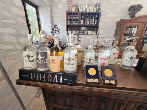Finca Castel de Oro - Thumbnail