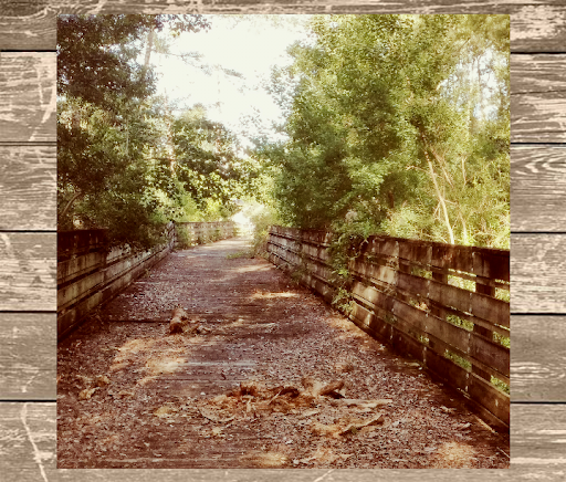 Florida Trail Sam Atkins Park Trailhead - Thumbnail
