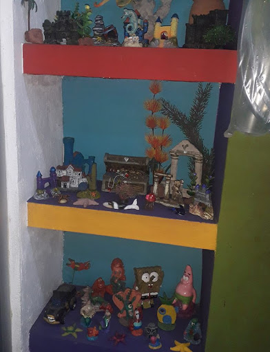 Pc-citos - Visual
