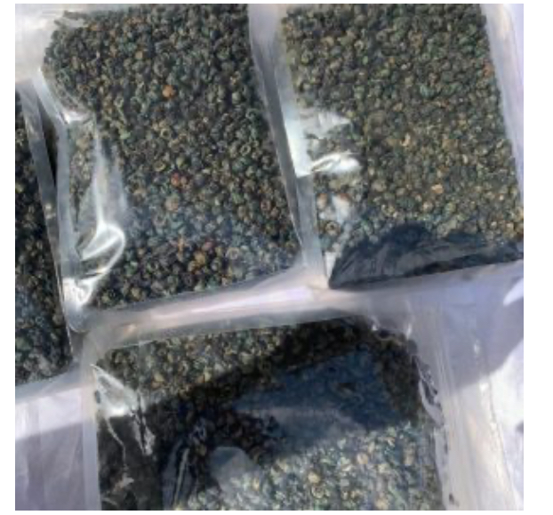 KULYNN FOOD CONCEPT UK Redoil Crayfish Ogbono Dry catfish Crayfish Egwusi photo 2