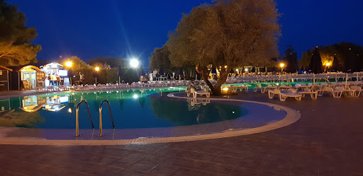 Palmasera S.P.A.