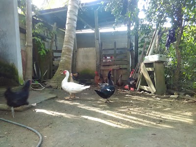 Photos of V&Iacute;A BALOTO SUPERMERCADO MERCAHOGAR DE LORICA LORICA
