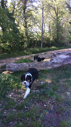 Photo n°43 de Ferme les Eybrachas à Réauville (Ferme à visiter)