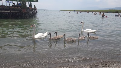Photos of Woman's Beach Coffe Bar