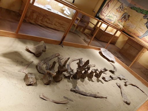 Glenrock Paleon Museum - Thumbnail
