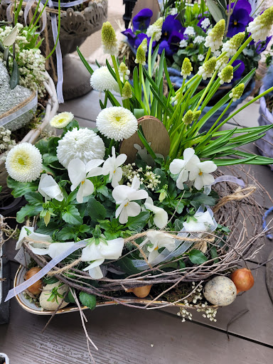 Kellerblüte - Visual