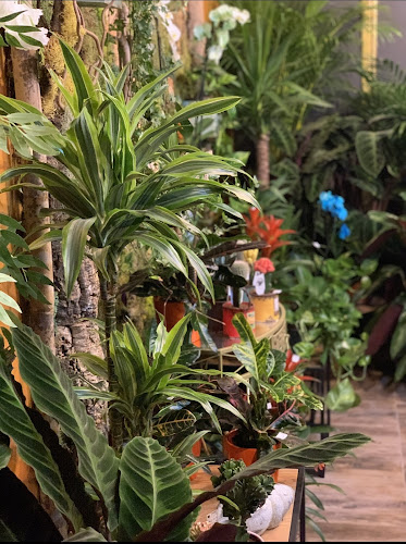 Comentarii opinii despre Dovaltino