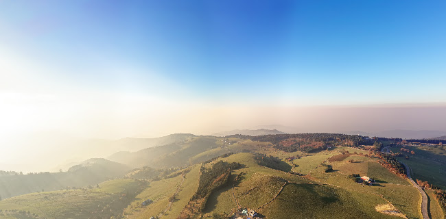 Die Halde - Freiburg
