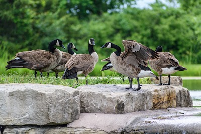 Lawrence Rotary Arboretum