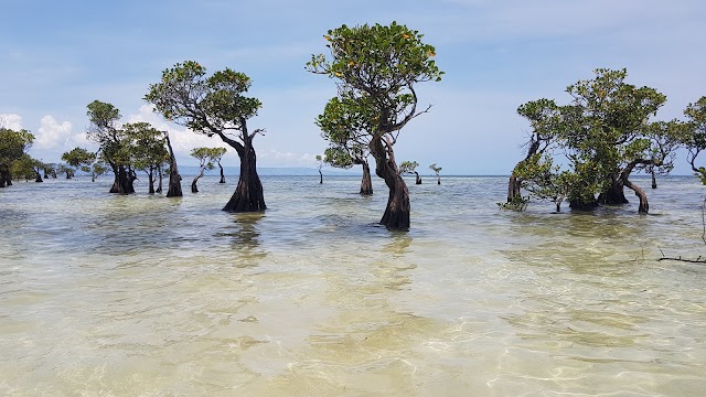 Pantai Walakiri