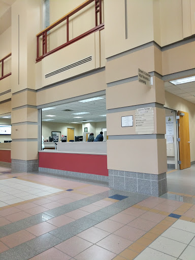 Olmsted County Vital Records Gallery - United States