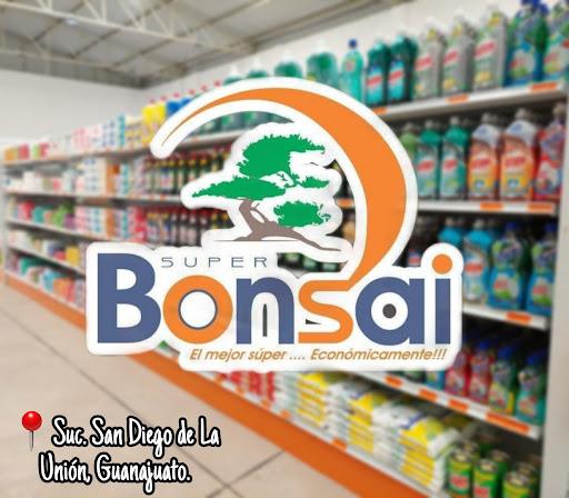 Súper Bonsai San Diego de La Unión - Thumbnail