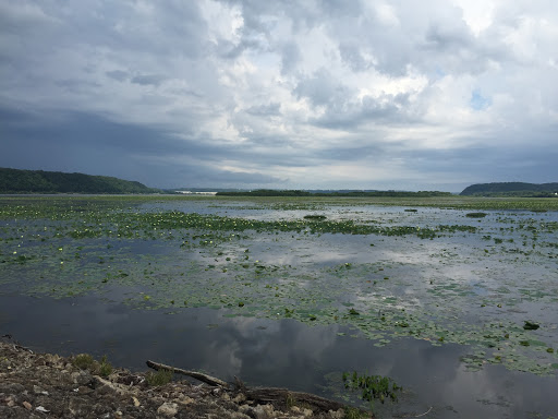 O’Leary’s Lake Walking Trail - Thumbnail