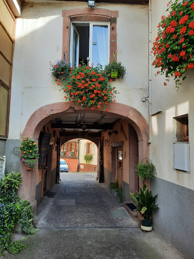 Photo de AMMERSCHWIHR