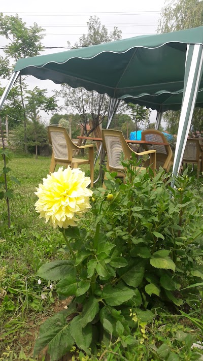 Melekoglu Et Balık Restorant